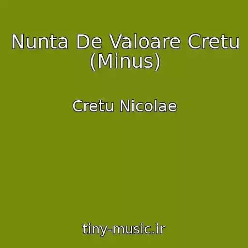 کاور آهنگ Nunta De Valoare Cretu (Minus) از Cretu Nicolae