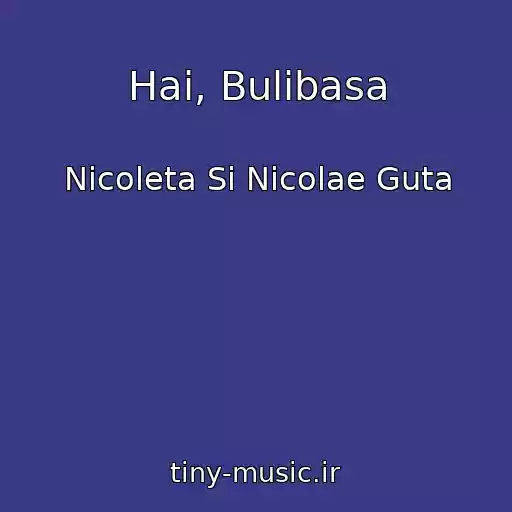 کاور آهنگ Hai, Bulibasa از Nicoleta Si Nicolae Guta