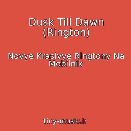 کاور آهنگ Dusk Till Dawn (Rington) از Novye Krasivye Ringtony Na Mobilnik
