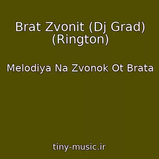 کاور آهنگ Brat Zvonit (Dj Grad) (Rington) از Melodiya Na Zvonok Ot Brata