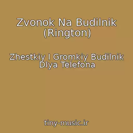کاور آهنگ Zvonok Na Budilnik (Rington) از Zhestkiy I Gromkiy Budilnik Dlya Telefona