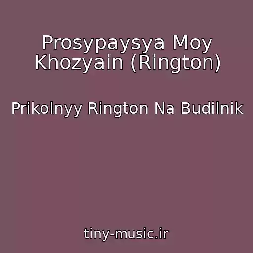 کاور آهنگ Prosypaysya Moy Khozyain (Rington) از Prikolnyy Rington Na Budilnik
