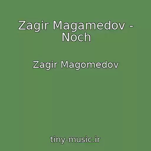 کاور آهنگ Zagir Magamedov - Noch از Zagir Magomedov