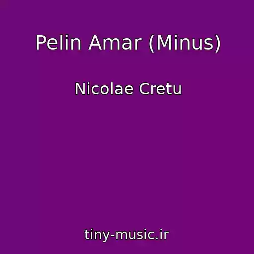کاور آهنگ Pelin Amar (Minus) از Nicolae Cretu