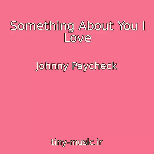 کاور آهنگ Something About You I Love از Johnny Paycheck