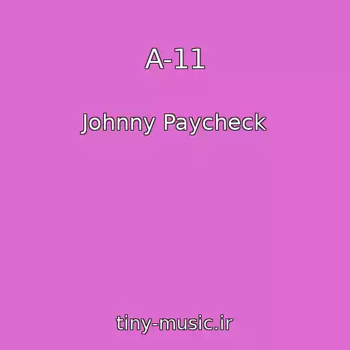 کاور آهنگ A-11 از Johnny Paycheck