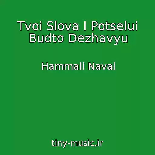 کاور آهنگ Tvoi Slova I Potselui Budto Dezhavyu از Hammali Navai