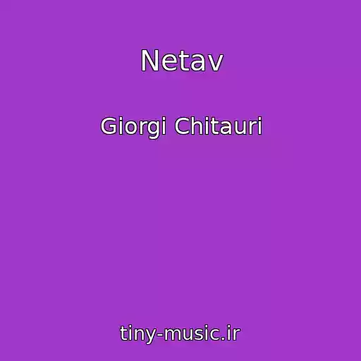 کاور آهنگ Netav از Giorgi Chitauri