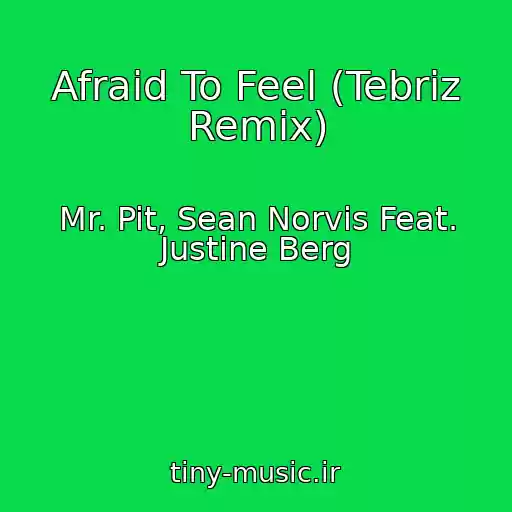 کاور آهنگ Afraid To Feel (Tebriz Remix) از Mr. Pit, Sean Norvis Feat. Justine Berg