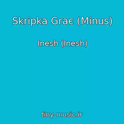 کاور آهنگ Skripka Graє (Minus) از Inesh (Іnesh)