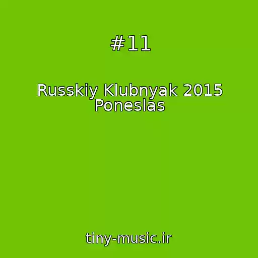 کاور آهنگ #11 از Russkiy Klubnyak 2015 Poneslas