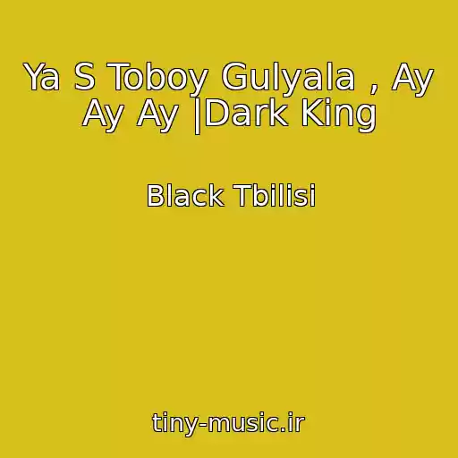 کاور آهنگ Ya S Toboy Gulyala , Ay Ay Ay |Dark King از Black Tbilisi