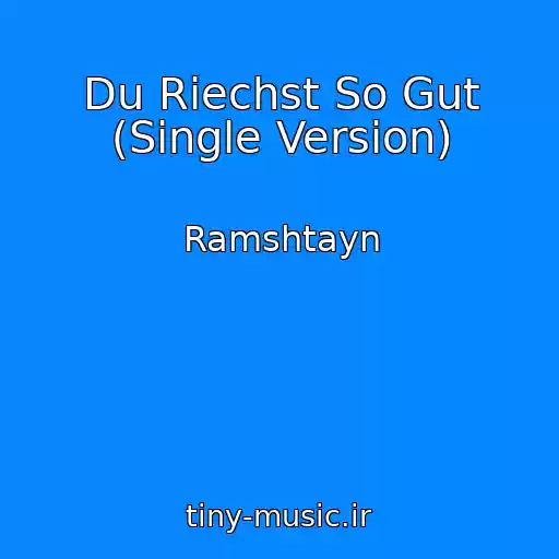 کاور آهنگ Du Riechst So Gut (Single Version) از Ramshtayn