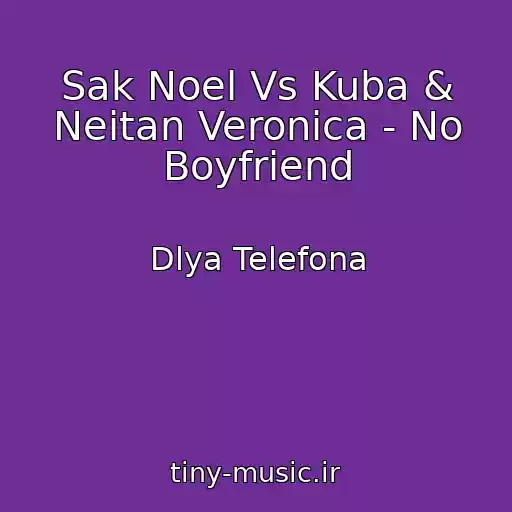 کاور آهنگ Sak Noel Vs Kuba & Neitan Veronica - No Boyfriend از Dlya Telefona