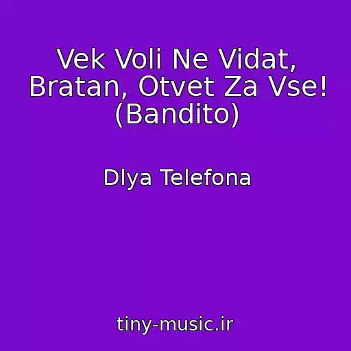 کاور آهنگ Vek Voli Ne Vidat, Bratan, Otvet Za Vse! (Bandito) از Dlya Telefona