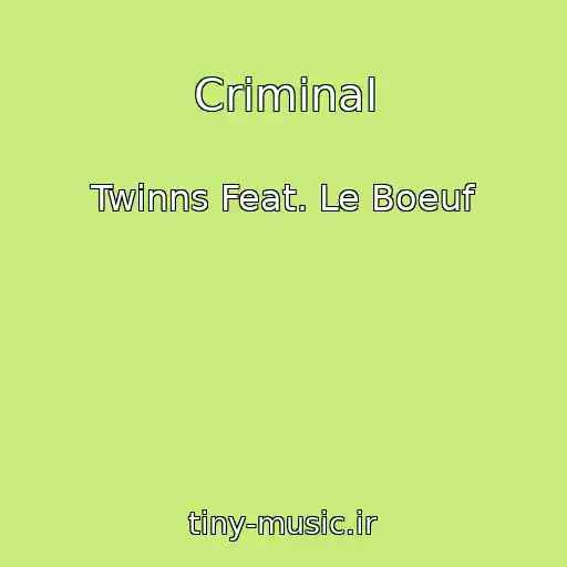 کاور آهنگ Criminal از Twinns Feat. Le Boeuf