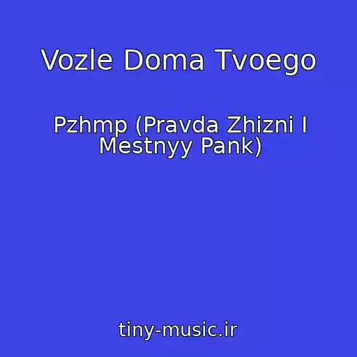 کاور آهنگ Vozle Doma Tvoego از Pzhmp (Pravda Zhizni I Mestnyy Pank)