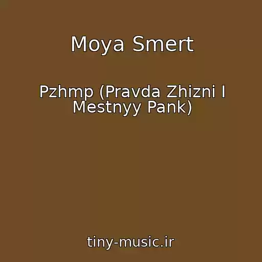 کاور آهنگ Moya Smert از Pzhmp (Pravda Zhizni I Mestnyy Pank)
