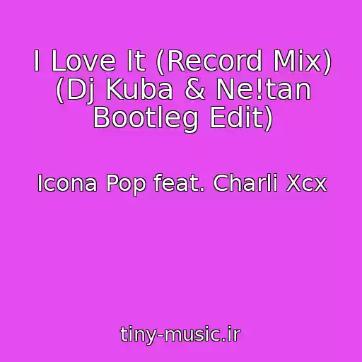 کاور آهنگ I Love It (Record Mix) (Dj Kuba & Ne!tan Bootleg Edit) از Icona Pop feat. Charli Xcx