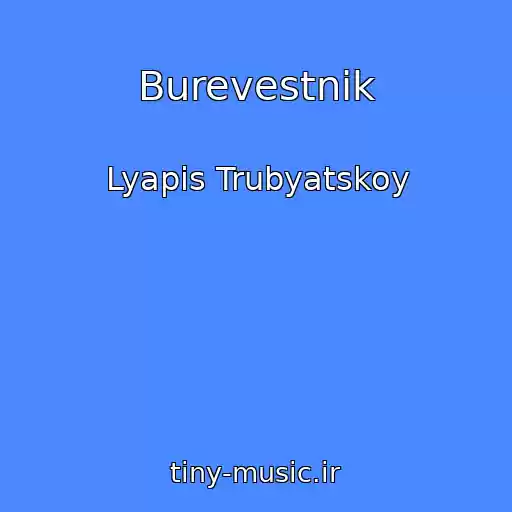کاور آهنگ Burevestnik از Lyapis Trubyatskoy