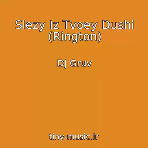 کاور آهنگ Slezy Iz Tvoey Dushi (Rington) از Dj Gruv