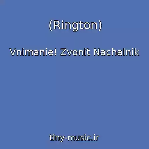 کاور آهنگ (Rington) از Vnimanie! Zvonit Nachalnik