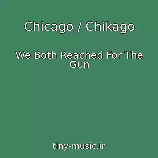 کاور آهنگ Chicago / Chikago از We Both Reached For The Gun