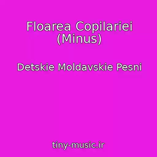 کاور آهنگ Floarea Copilariei (Minus) از Detskie Moldavskie Pesni