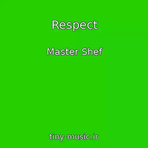 کاور آهنگ Respect از Master Shef