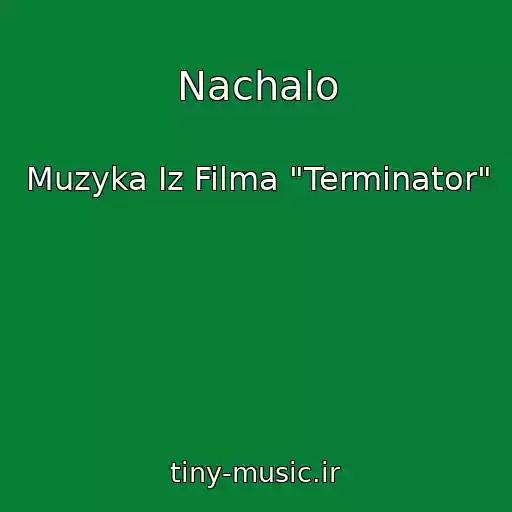 کاور آهنگ Nachalo از Muzyka Iz Filma "Terminator"