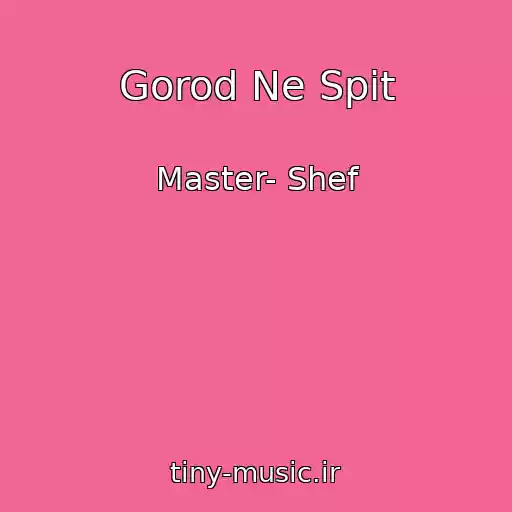 کاور آهنگ Gorod Ne Spit از Master- Shef