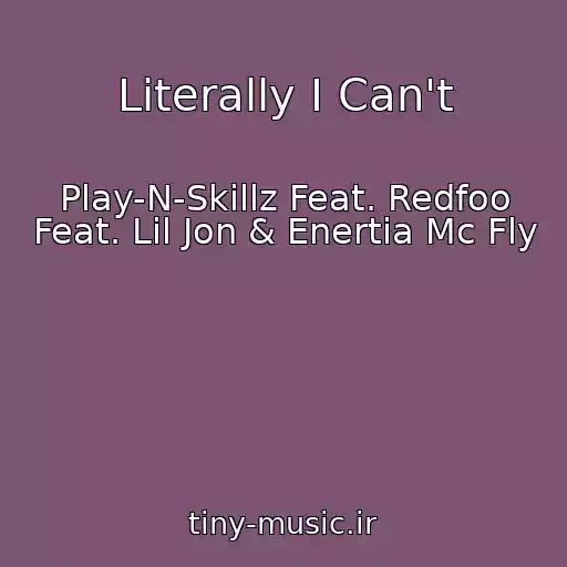 کاور آهنگ Literally I Can't از Play-N-Skillz Feat. Redfoo Feat. Lil Jon & Enertia Mc Fly