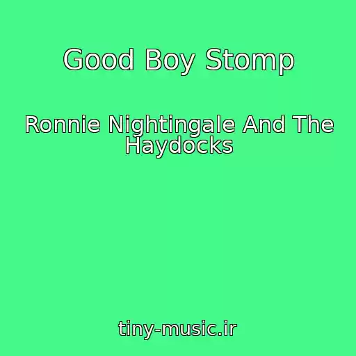 کاور آهنگ Good Boy Stomp از Ronnie Nightingale And The Haydocks