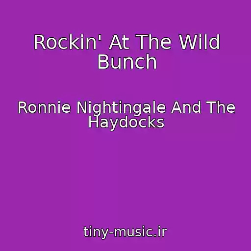 کاور آهنگ Rockin' At The Wild Bunch از Ronnie Nightingale And The Haydocks