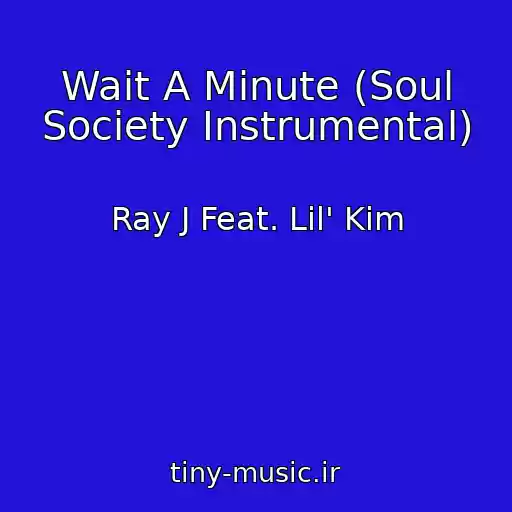 کاور آهنگ Wait A Minute (Soul Society Instrumental) از Ray J Feat. Lil' Kim