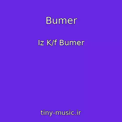 کاور آهنگ Bumer از Iz K/f Bumer