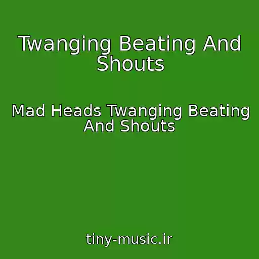 کاور آهنگ Twanging Beating And Shouts از Mad Heads Twanging Beating And Shouts