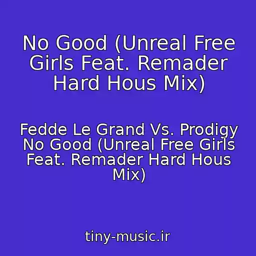 کاور آهنگ No Good (Unreal Free Girls Feat. Remader Hard Hous Mix) از Fedde Le Grand Vs. Prodigy No Good (Unreal Free Girls Feat. Remader Hard Hous Mix)