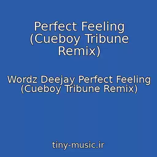 کاور آهنگ Perfect Feeling (Cueboy Tribune Remix) از Wordz Deejay Perfect Feeling (Cueboy Tribune Remix)