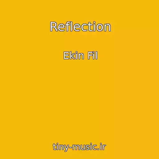کاور آهنگ Reflection از Ekin Fil