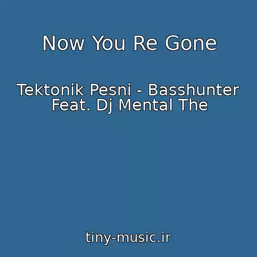 کاور آهنگ Now You Re Gone از Tektonik Pesni - Basshunter Feat. Dj Mental The