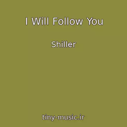 کاور آهنگ I Will Follow You از Shiller