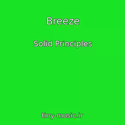کاور آهنگ Breeze از Solid Principles
