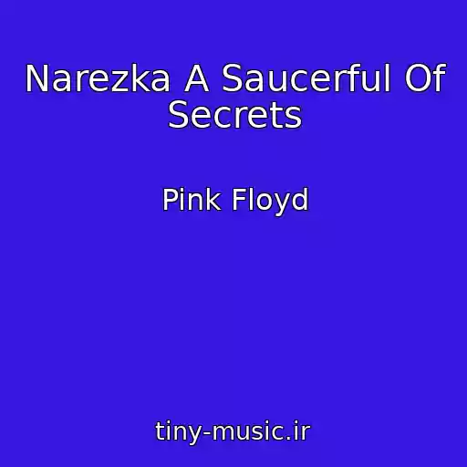 کاور آهنگ Narezka A Saucerful Of Secrets از Pink Floyd