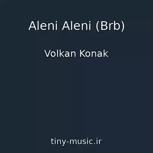 کاور آهنگ Aleni Aleni (Brb) از Volkan Konak