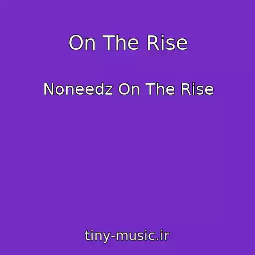کاور آهنگ On The Rise از Noneedz On The Rise