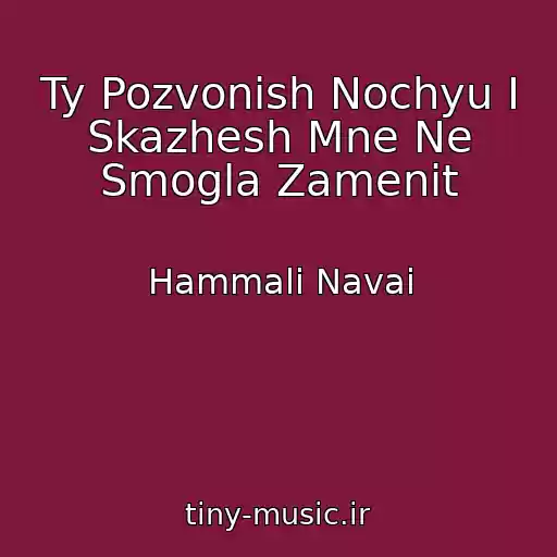 کاور آهنگ Ty Pozvonish Nochyu I Skazhesh Mne Ne Smogla Zamenit از Hammali Navai