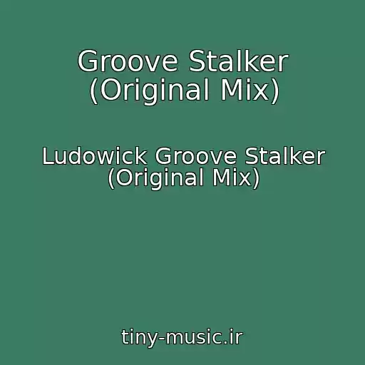 کاور آهنگ Groove Stalker (Original Mix) از Ludowick Groove Stalker (Original Mix)