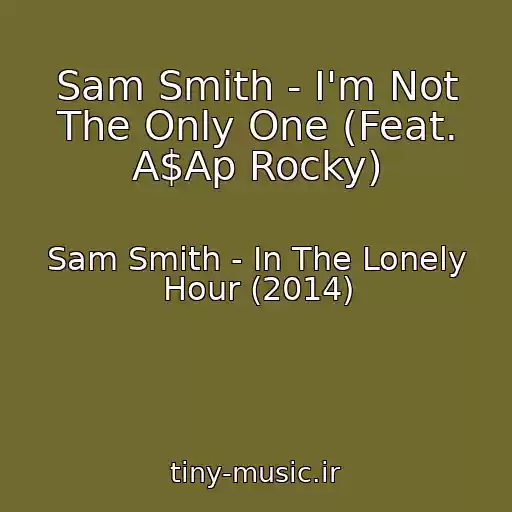 کاور آهنگ Sam Smith - I'm Not The Only One (Feat. A$Ap Rocky) از Sam Smith - In The Lonely Hour (2014)