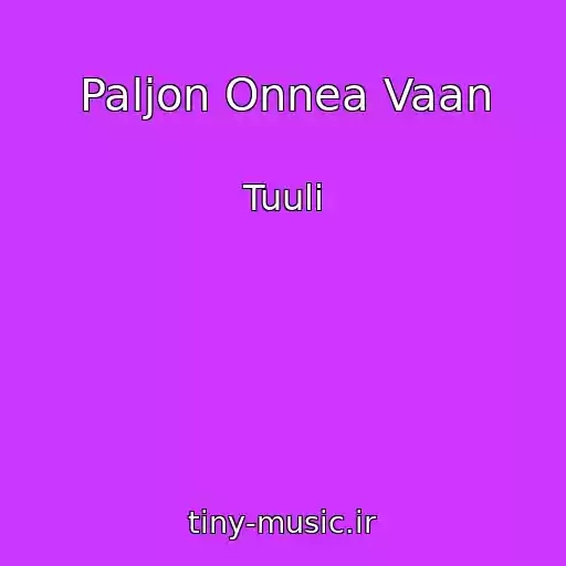 کاور آهنگ Paljon Onnea Vaan از Tuuli